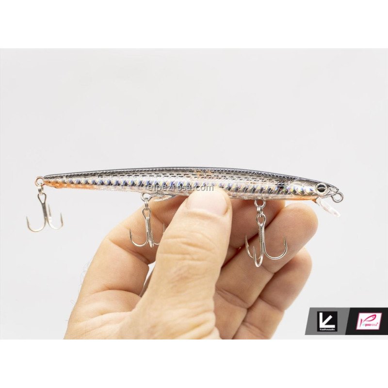 Tailwalk Sea Finger Minnow 113F Señuelo Minnow Spinning