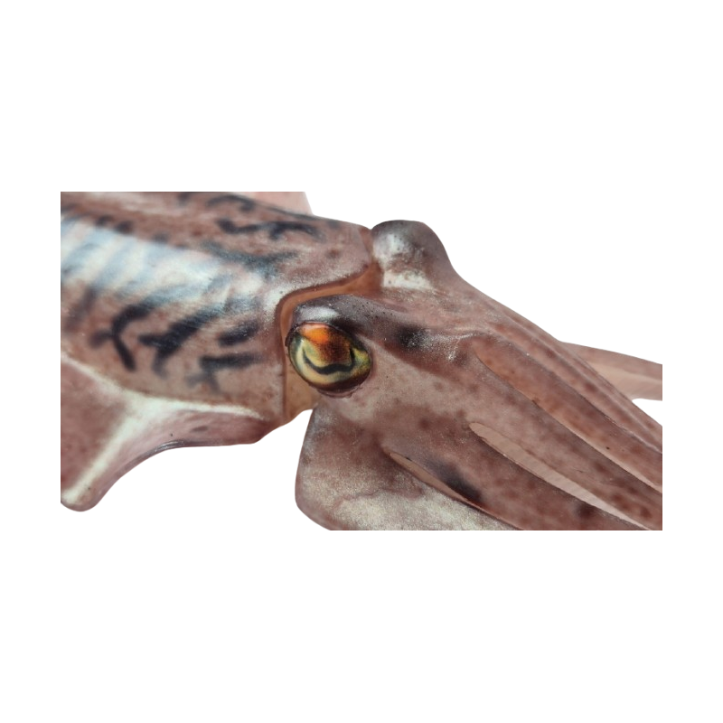 XIBIA Real King – Señuelo Hiperrealista